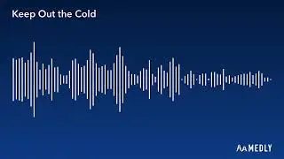 Medly Labs - Keep Out the Cold (Feat. Tyler)