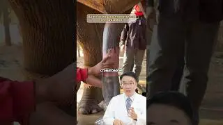 Немецкие стамотологи советуют это😳