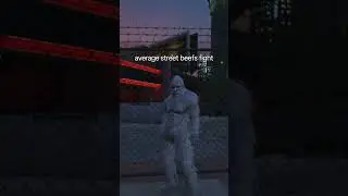 what the average street beefs fight looks like #gta #funny #fighting