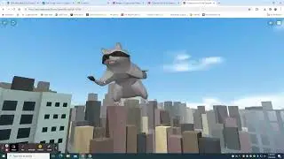 Flying Racoon