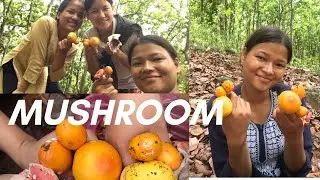 Hunting Mushroom🍄🌿#youtube