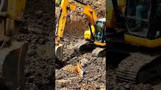 JCB HELP #sorts