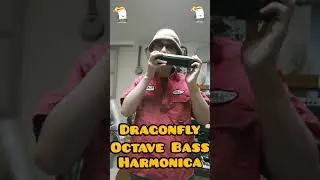 Dragonfly Octave Bass Harmonica　#instrumental #indie #alternative #funky #industrial #instamusic