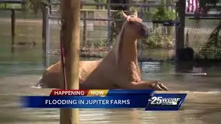 Jupiter Farms residents concerned about flooding