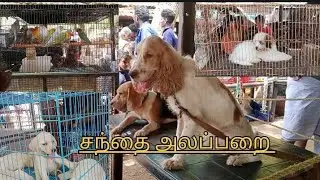 சந்தை part -1 ❤️❤️❤️❤️🙏🏻