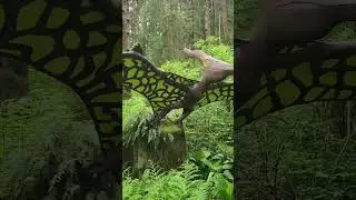 prehistoric gardens port orford Oregon may 4 2023 pt 2