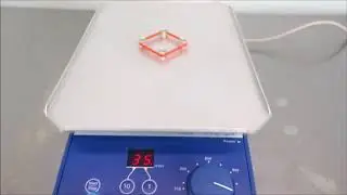 IKA MTS 2/4 Digital Microtiter Plate Shaker