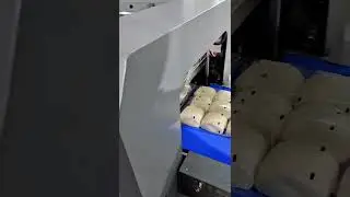 Steam bun pillow packing machine  #machine #factory #smallbusiness #packaging