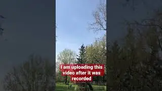 Police Helicopter searches forest for missing person