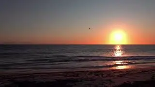 Feel your dreams 1