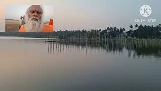 Почувствуйте присутствие Саптха Нади @ Тирунавая Маха Маагха Мела, 2026 г.