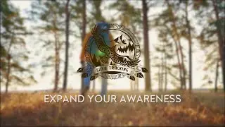 Introduction to animal tracking