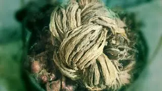 HERBAL MEDICINES OF THE ISAMURONG IVATANS (COMPLETE GUIDE)