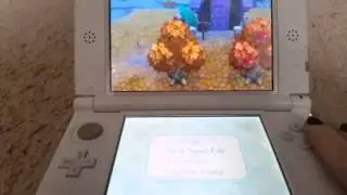 ACNL Mods: Music Hack and Texture Hack