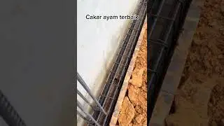 #cakar ayam