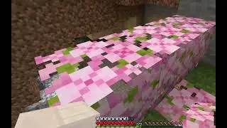 doing whatever  in minecraftep 484