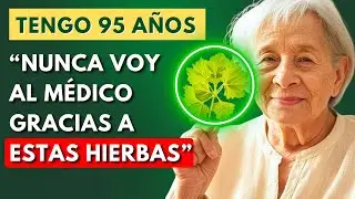 Los 7 T&Eacute;S NATURALES M&aacute;s PODEROSOS que la Medicina Tradicional