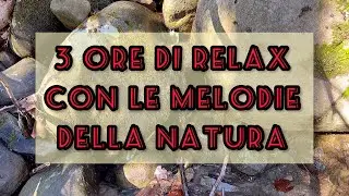 Acqua che scorre in un ruscello, producendo un suono molto rilassante e che fa dormire subito
