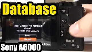 Sony A6000: Image Database File not found (Format card inside the camera)