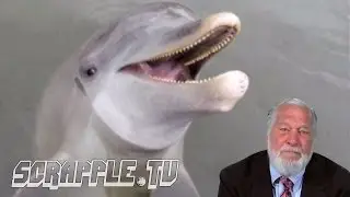 Corrupt Judge, Epic Diarrhea, Dolphin Deaths [Scrapple TV News]