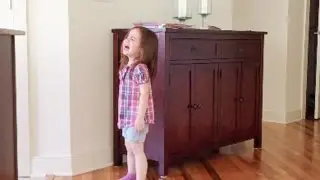 TODDLER TANTRUM! | DAY 842 | ThePlusSideOfThings