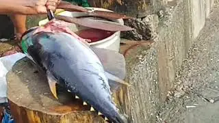 Choora Fish Cutting🐟