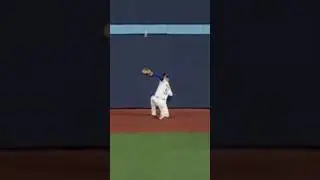 Greatest Catch of All-Time???!!!!! #mlb #toronto #bluejays #amazing