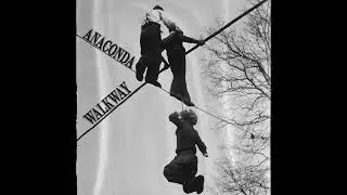 DELETER - ANACONDA WALKWAY
