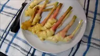 October Project: Container Ginger Harvest!