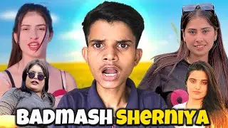 Rajasthan Ki Badmash Sherniya 🦁 || Part 2 || Marwadi Roaster