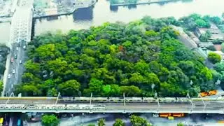 THE LAST FOREST IN THE CITY | MANILA PHILIPPINES