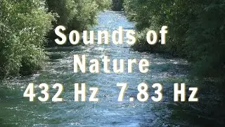 Relaxing Calming Music with Bird Sounds for Meditation  432 Hz  and 7.83 Hz Frequencies