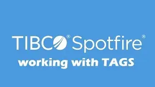 TIBCO Spotfire Tags | TIBCO Spotfire Basics | TIBCO Spotfire for Beginners