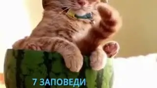 15 април 2020 г.