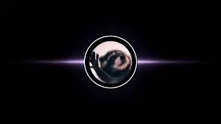 Pedro(Sunyika DnB REMIX)