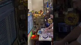 Goldfinch Birds Remix Alizansalihoglu XDJ Rx3 Concept Home #goldfinches #dj #goldfinch #pioneerdj