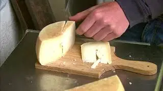 ROUTE 5 Zoncolan Casanova