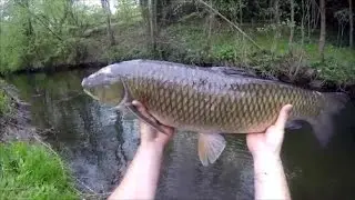 Une surprise &agrave; la p&ecirc;che : Petite rivi&egrave;re mais gros poisson...