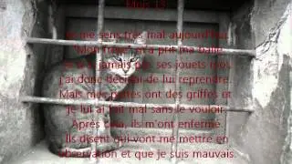Histoire d'un Chat abandonné