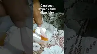 Umpan cendil #umpancendil #umpanlele #umpanjitu
