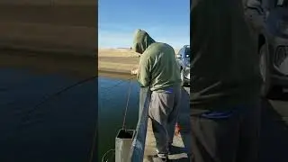 #stripedbassfishing #losbanos