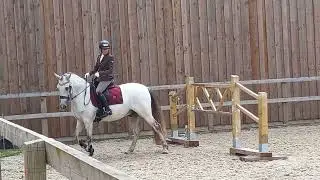 Working Equitation - Trail // Equitation de travail - Maniabilité 21/07/24