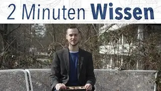 2 Minuten Wissen - Wieso haben wir so oft keinen Handy-Empfang? [FAU Science]