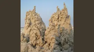 Spirit Mushroom