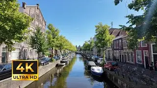 Haarlem centre walking tour on a summer day - Alternative to Amsterdam