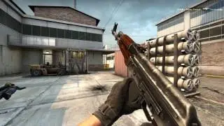 CS:GO - Flashkill