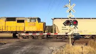 UP manifest train - Ivy Rd crossing, Fults, IL 