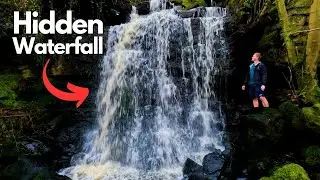 Epic Waterfall Hike in Woodland Ravine -  Yorkshire