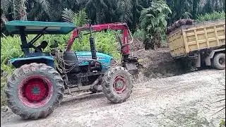 Truk sawit nya gakuat dibantu dorong jonder landini bosku