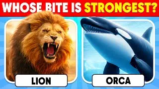 How Well Do You Know Animals? 🦁🐳✅ General Knowledge Trivia Quiz | Nemo Quiz